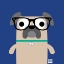 Picture of BOW WOW PUG
