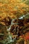Picture of HIDDEN WATERFALL