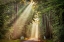 Picture of THIS BEAM IS BOOMING