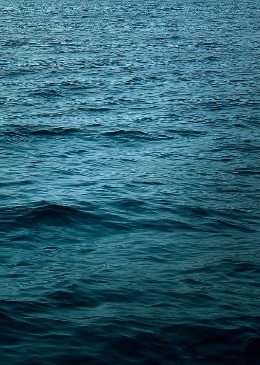 Picture of OCEAN 15
