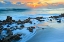 Picture of PAINTED OCEAN