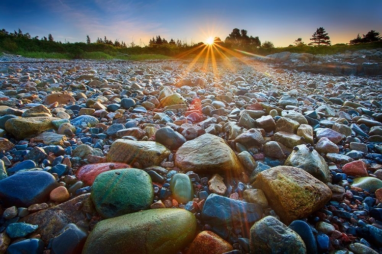 Picture of SCHOODIC ROCKS