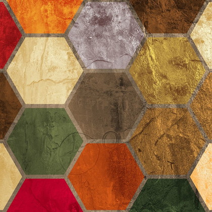 Picture of HEXAGON TEXTURES I