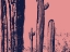 Picture of DESERT SILHOUETTE III