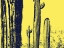 Picture of DESERT SILHOUETTE IX