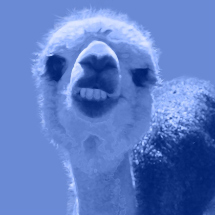 Picture of ALPACA BLUE