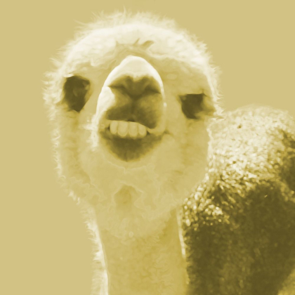 Picture of ALPACA YELLOW