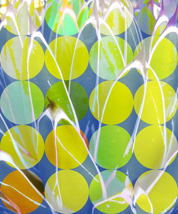 Picture of MOODS AGAVE II