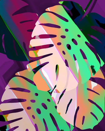 Picture of MONSTERA STYLIZED V