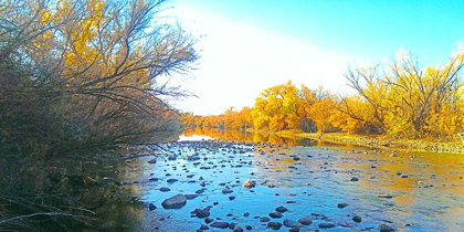 Picture of SALT RIVER IN FALL II: WATERCOLOREFFECT