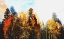 Picture of FALL COLORS I-COLOR BLAST