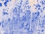 Picture of COLOR MOOD-ASPEN 5