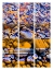 Picture of COLOR MOOD-RIVER ROCK COLLAGE V1