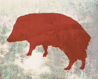 Picture of COLOR MOOD-JAVELINA 1