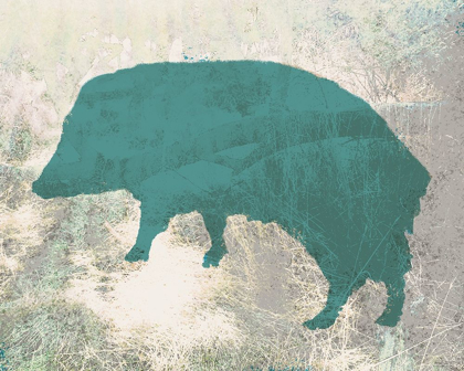 Picture of COLOR MOOD-JAVELINA 2