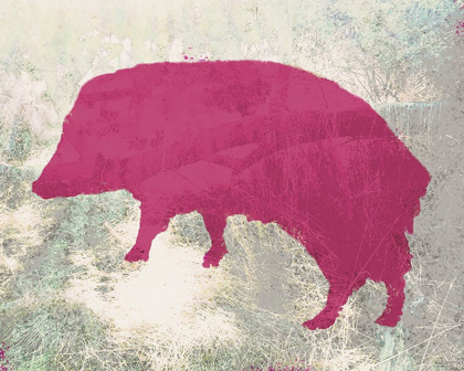 Picture of COLOR MOOD-JAVELINA 3