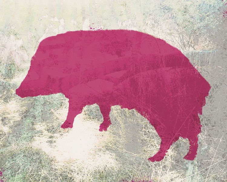 Picture of COLOR MOOD-JAVELINA 3