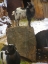 Picture of THREE GOATS 