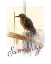 Picture of SAN DIEGO -YELLOW CROWNED NIGHT HERON