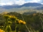 Picture of DESERT SCAPE 11