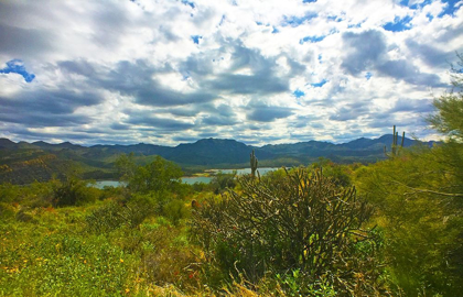 Picture of BARTLETT LAKE A