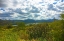 Picture of BARTLETT LAKE A