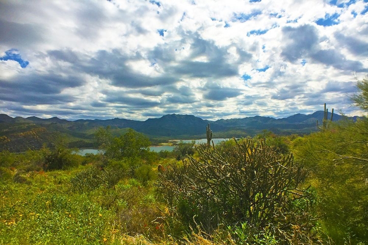 Picture of BARTLETT LAKE B