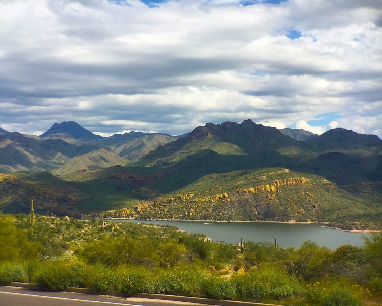 Picture of BARTLETT LAKE: YELLOW CLIFFS 3