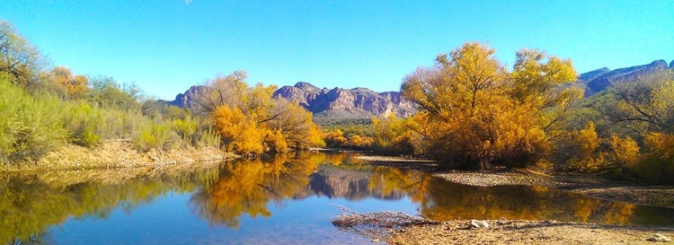 Picture of SALT RIVER IN FALL I