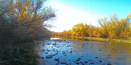 Picture of SALT RIVER IN FALL II