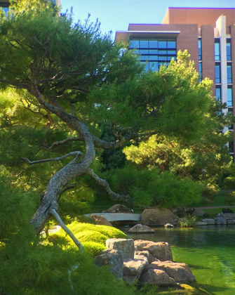 Picture of JAPANESE FRIENDSHIP GARDEN I