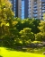 Picture of JAPANESE FRIENDSHIP GARDEN II