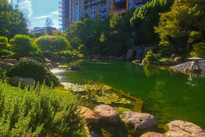 Picture of JAPANESE FRIENDSHIP GARDEN IV