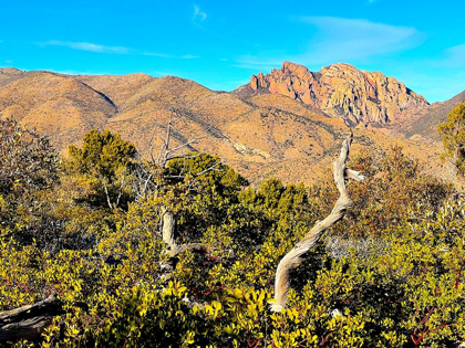 Picture of CHIRICAHUA 3 -COCHISE HEAD