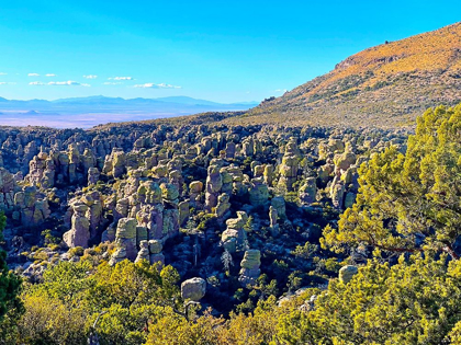 Picture of CHIRICAHUA 5