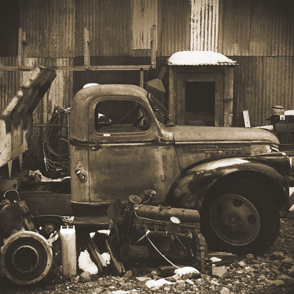 Picture of JUNKYARD D: SEPIA