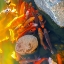 Picture of KOI IV