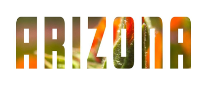 Picture of ARIZONA