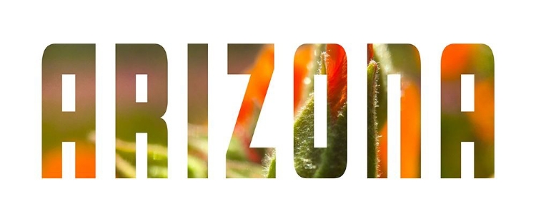 Picture of ARIZONA