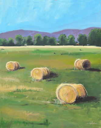 Picture of HAY ROLLS