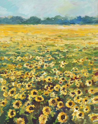 Picture of SUNFLOWERS