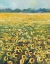 Picture of SUNFLOWERS