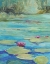 Picture of LILY POND