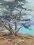 Picture of LONE TREE