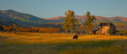 Picture of FALL GRAZING