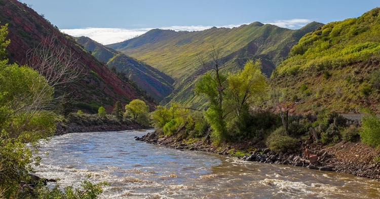 Picture of SOUTH CANYON SPRING