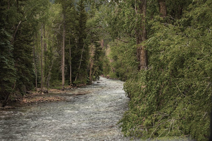 Picture of WINDING RIVER