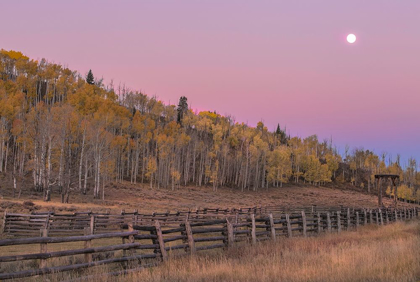 Picture of SUNRISE RIDEWAY