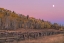 Picture of SUNRISE RIDEWAY