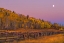 Picture of SUNRISE RIDEWAY #2 